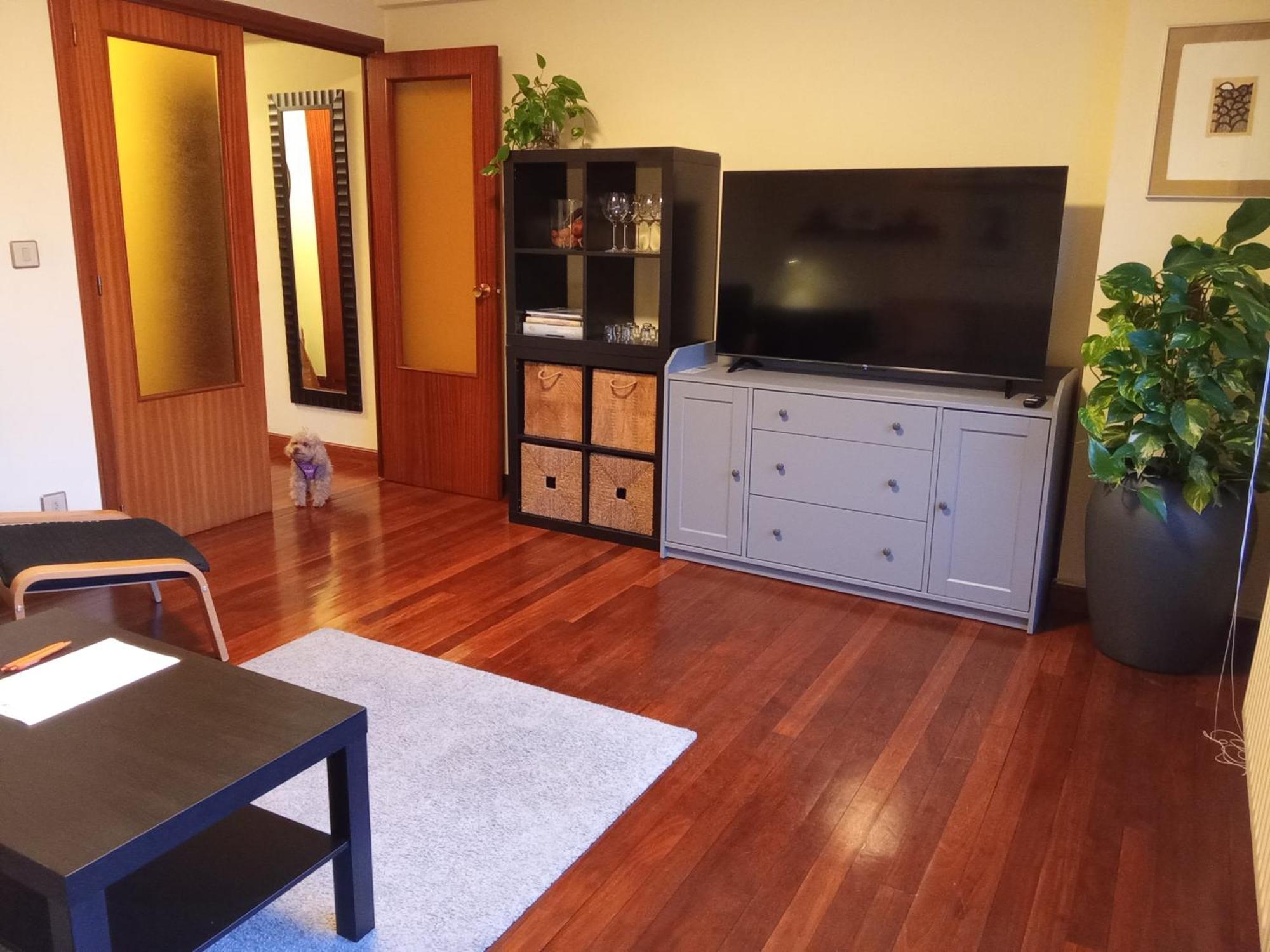Andramari Tourist Home Parking& Wifi Amorebieta-Etxano Εξωτερικό φωτογραφία